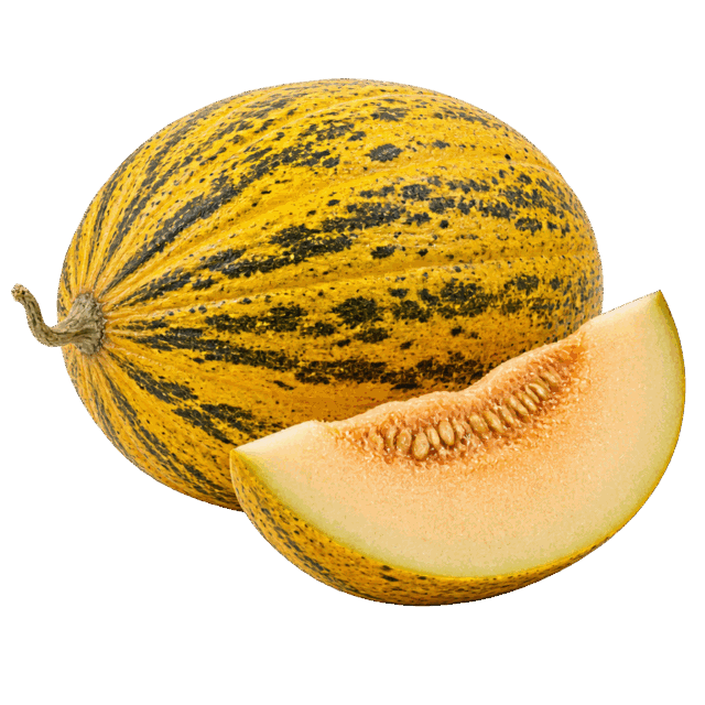 Kavun