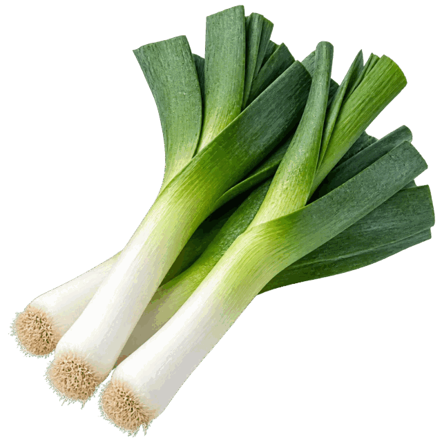 Pırasa