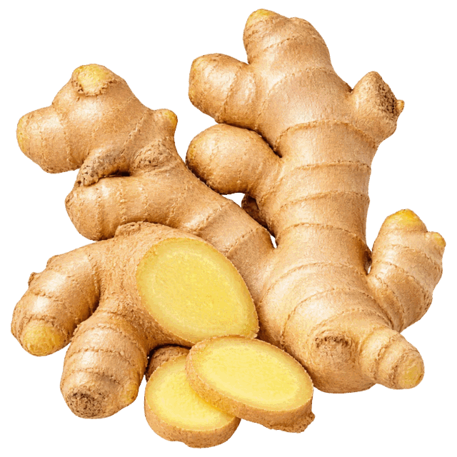 Zencefil